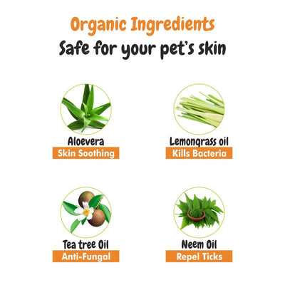 Ingredients Of itch Calm Shampoo