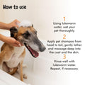 Instructions How to Use Itch Calm Shampoo