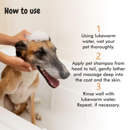 Itch Calm Shampoo