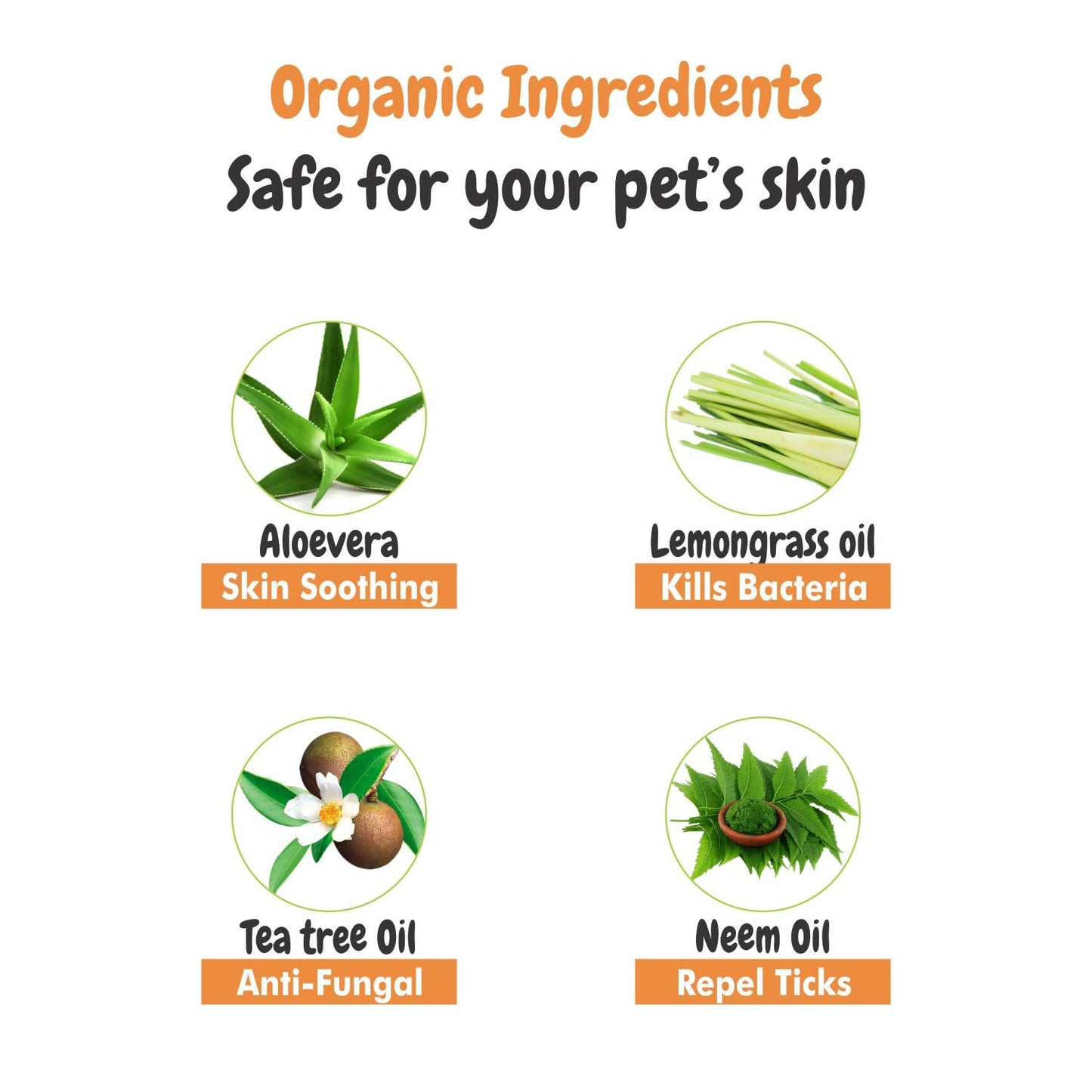 Itch Calm Shampoo with Neem, Lemongrass & Aloe