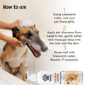Instructions How to use bscly Itch Calm Shampoo(Neem and Lemongrass)