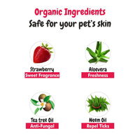 Ingredients of bscly Kennel Wash with Strawberry 