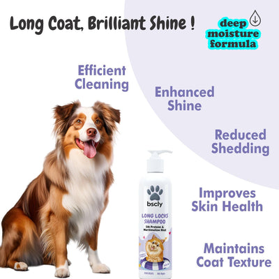 Benefits of bscly Long locks shampoo