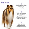 How to Use bscly Long Locks Shampoo