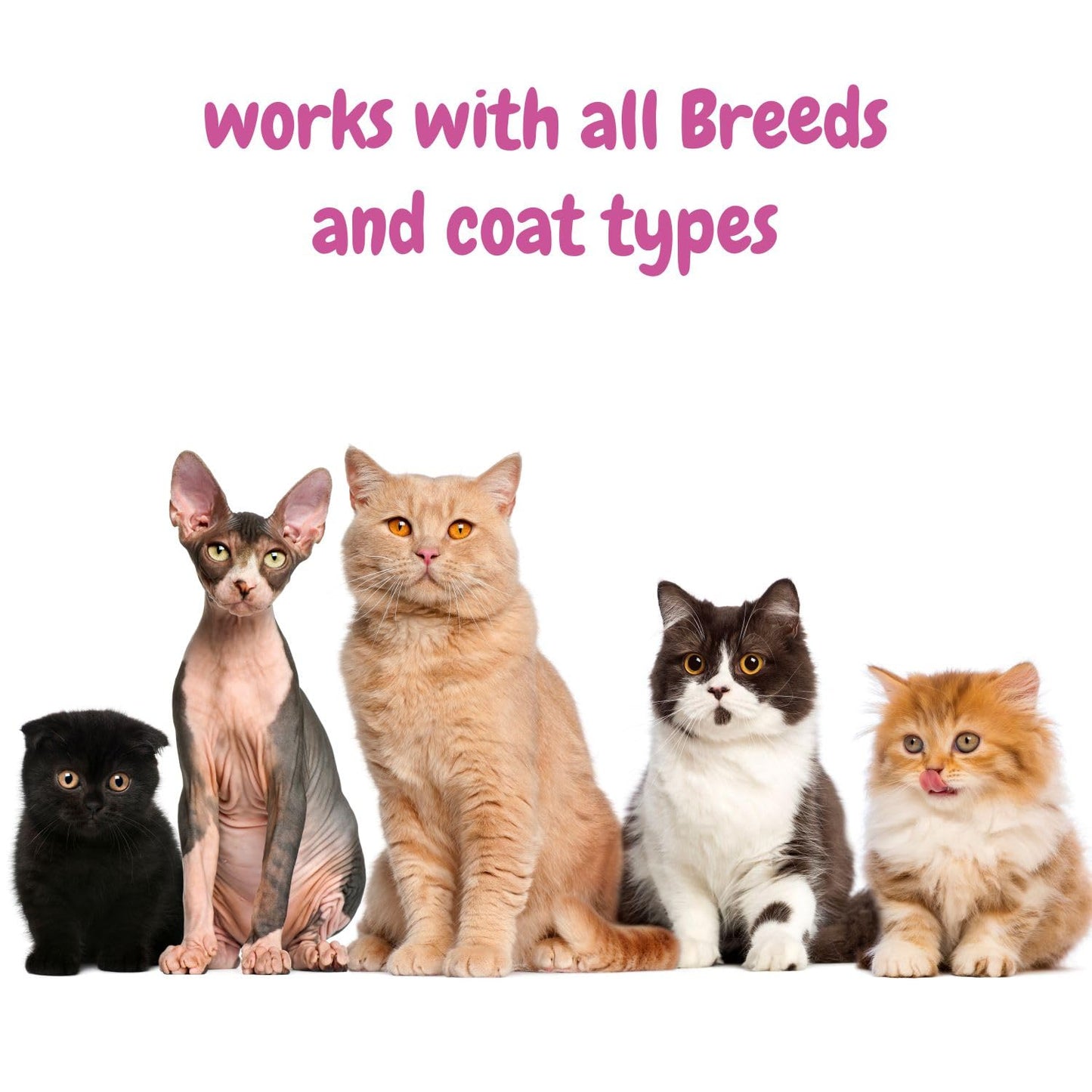 Meow Cat Shampoo- Enriched with Oatmeal Extract