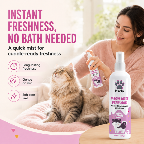 BSCLY Meow Mist Cat Perfume Spray,200ml