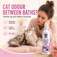 BSCLY Meow Mist Cat Perfume Spray,200ml