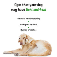 Neem Herbal Dog Shampoo