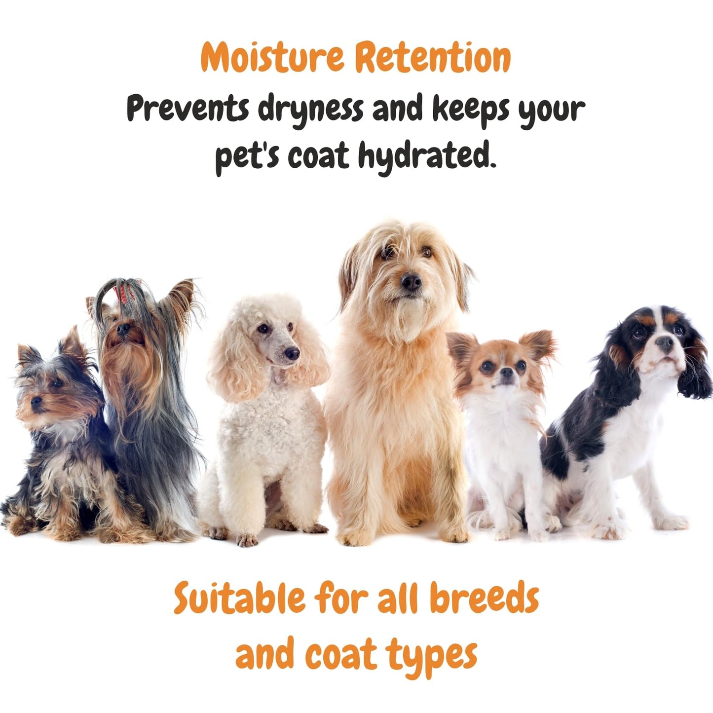 Nourishing Conditioner