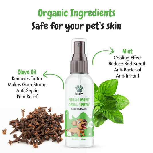Ingredients of bscly Fresh Mint Oral Spray  — BSCLY