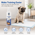 Bscly Puppy Potty Training Spray for Dogs, 200ml