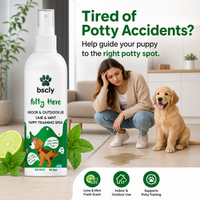 Bscly Dog Potty Training Spray for Puppy,200ml
