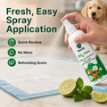 Bscly Dog Potty Training Spray for Puppy,200ml
