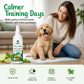 Bscly Dog Potty Training Spray for Puppy,200ml
