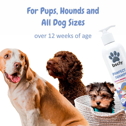 Pawfect 5 Dog Shampoo