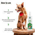 How to use bscly Pet Area Freshner Lemongrass Oil
