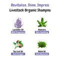 bscly Livestock Dog Shampoo
