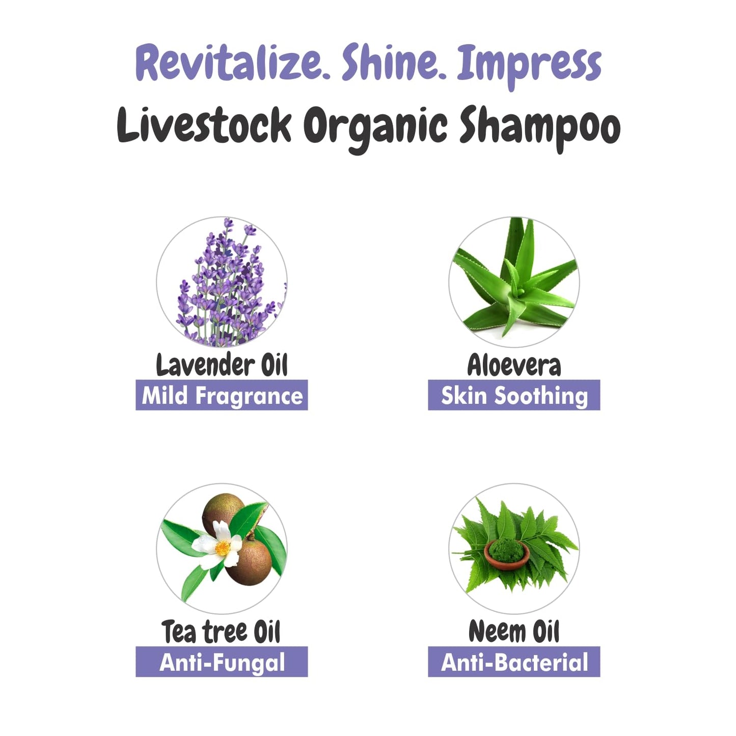 Pet & Livestock Dog Shampoo