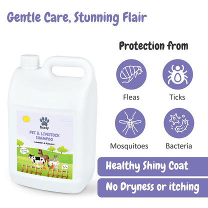Pet & Livestock Dog Shampoo