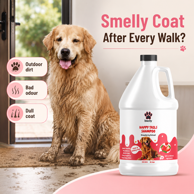 BSCLY Strawberry Dog Shampoo, 1000ml