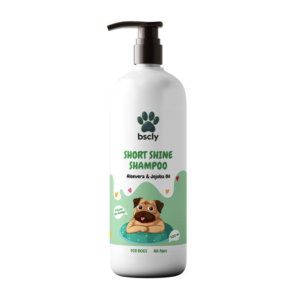 bscly Short Shine Shampoo