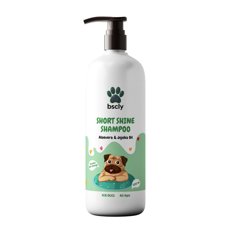 bscly Short Shine Shampoo