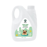 2L