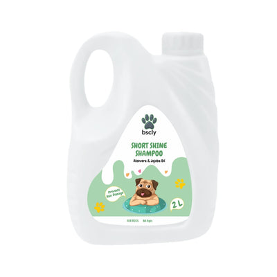bscly Short Shine Shampoo