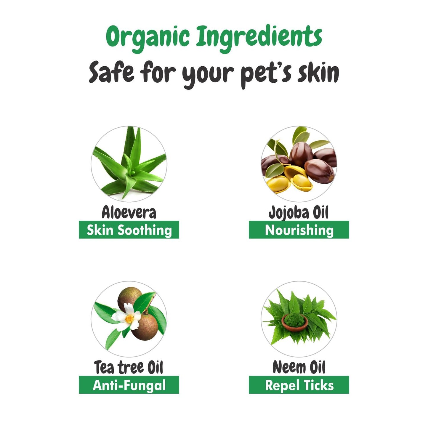 Short Shine Dog Shampoo