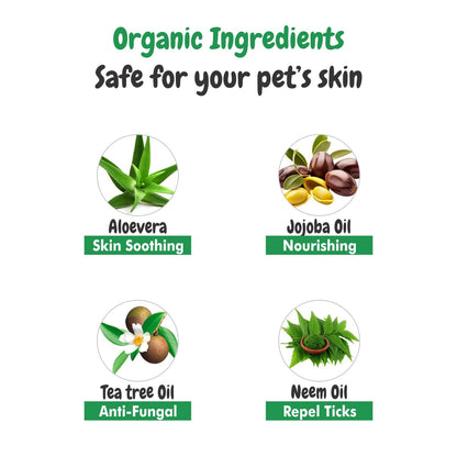 Short Shine Dog Shampoo