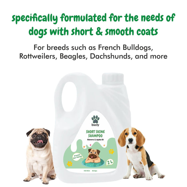 Short Shine Dog Shampoo - 2L
