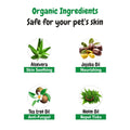 Ingredients of bscly Short Shine shampoo