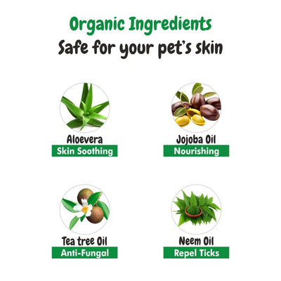 Ingredients of bscly Short Shine shampoo