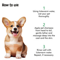 How to use bscly Short Shine Shampoo