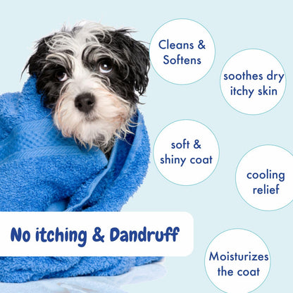 Soothing Dog Shampoo