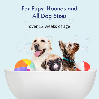 Soothing Dog Shampoo