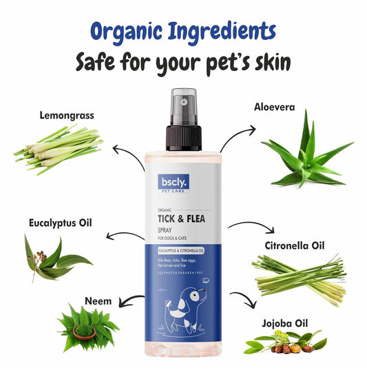 Tick & Flea Spray