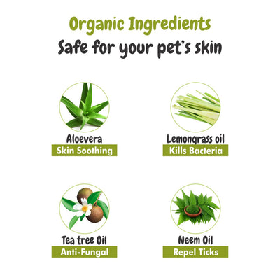 Ingredients of bscly Tick off shampoo