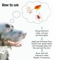 How To Use Tick off Shampoo