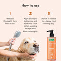 Instructions How to Use bscly Volume & shine shampoo