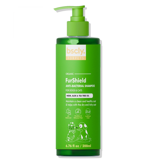 bscly Anti-Bacterial Shampoo — BSCLY