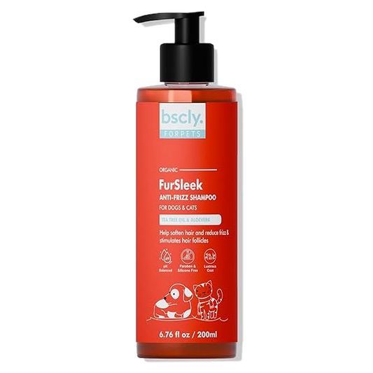 bscly Anti-Frizz Shampoo — BSCLY