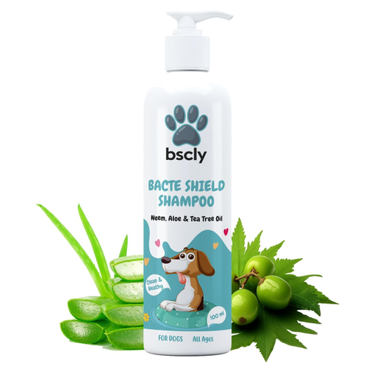 bscly Bacte Shield Shampoo — BSCLY