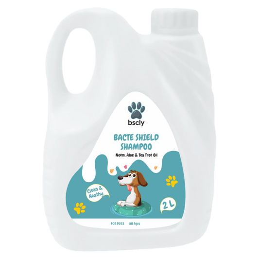 bscly Bacte Shield Shampoo — BSCLY