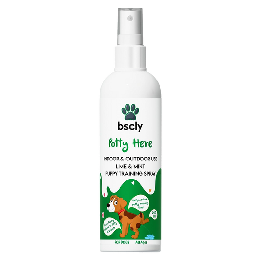 bscly Potty Spray Lime & Mint — BSCLY