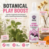 BSCLY Catnip Spray for Cats, 100ml