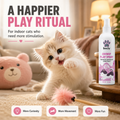 BSCLY Catnip Spray for Cats, 100ml