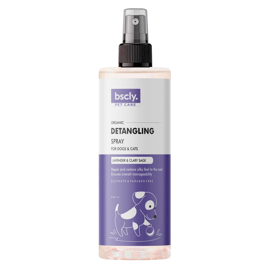 bscly Detangling Spray — BSCLY
