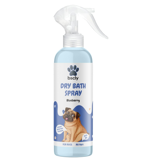 bscly Dry Bath Spray Blueberry — BSCLY