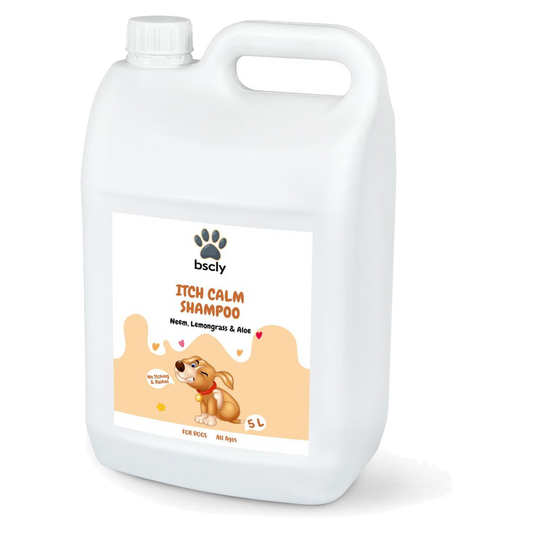 bscly Itch Calm Shampoo — BSCLY